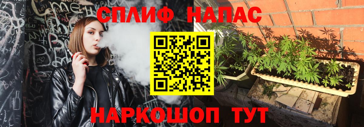 Шишки марихуана Ganja  Вход с VPN  Шали  Шишки марихуана планчик  Конопля Amnesia 